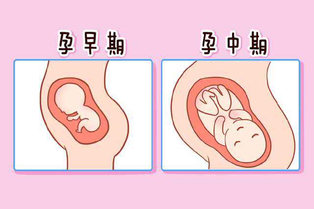 卵巢早衰捐卵试管选性别|
